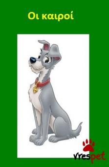 Ράτσα: Άλλη Ράτσα | Ηλικία: 6 μηνών | Φύλο: Θηλυκό | Αρ. Microchip: 9821212121211111 | Περιοχή: Αττική